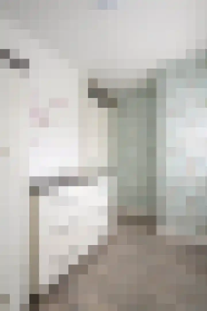 Mantelmeeuw 2 Weert thumbnail 22
