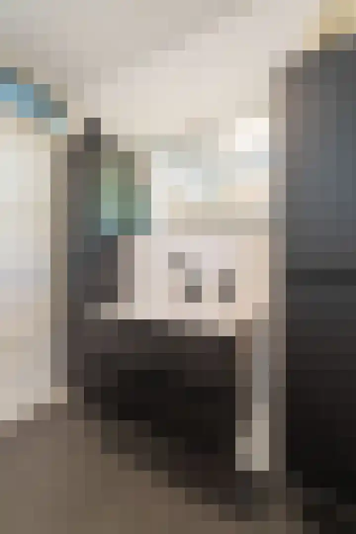 Mantelmeeuw 2 Weert thumbnail 23