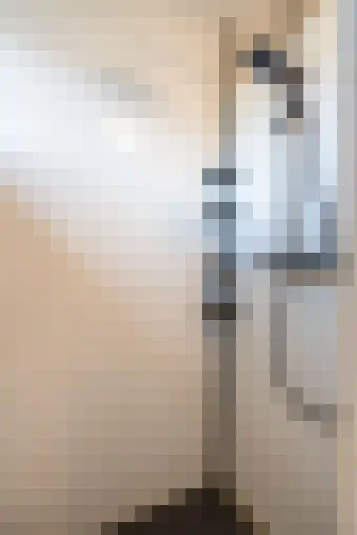 Mantelmeeuw 2 Weert thumbnail 24