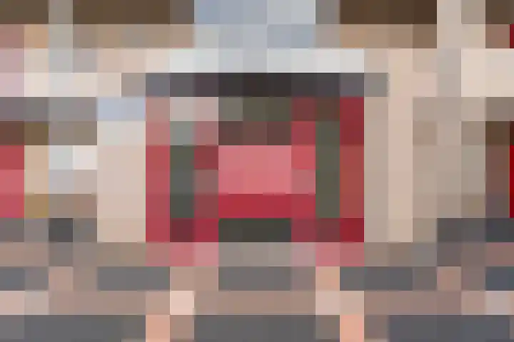Mantelmeeuw 2 Weert thumbnail 30