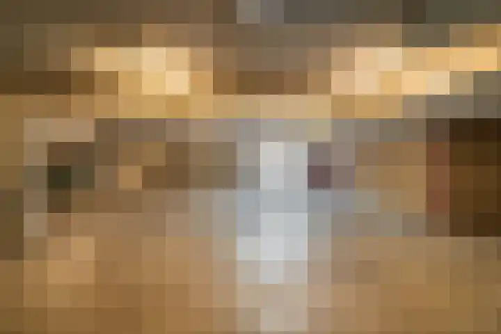 Mantelmeeuw 2 Weert thumbnail 31