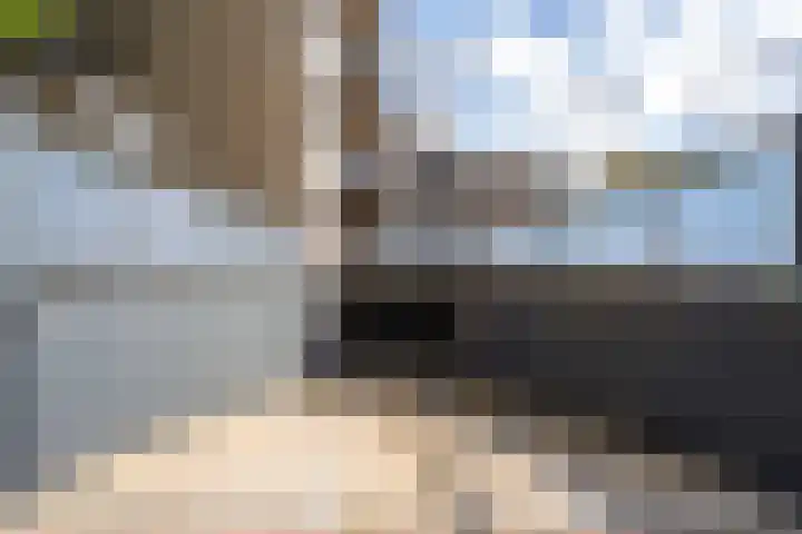 Mantelmeeuw 2 Weert thumbnail 32