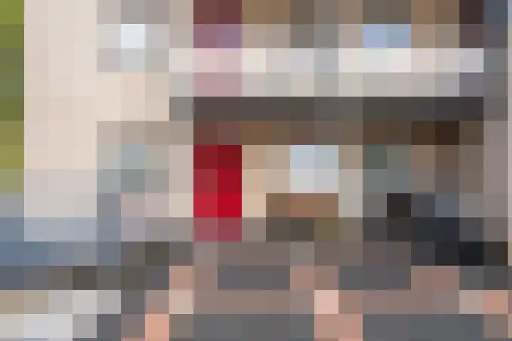Mantelmeeuw 2 Weert thumbnail 8