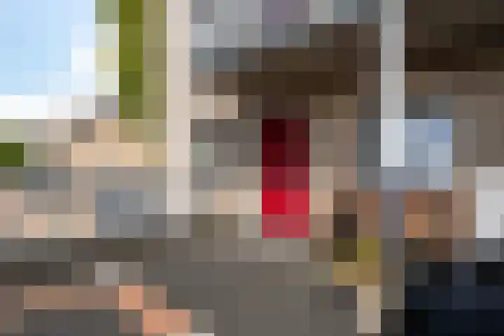 Mantelmeeuw 2 Weert thumbnail 9