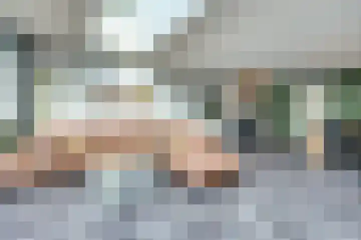 Mantelmeeuw 9 De Lier thumbnail 10