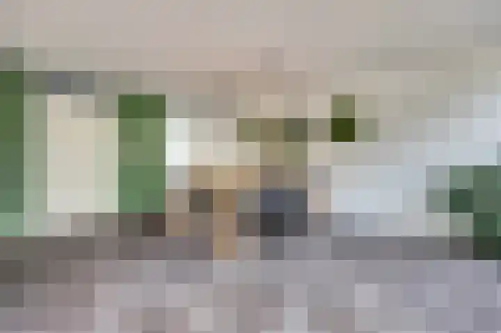 Mantelmeeuw 9 De Lier thumbnail 11