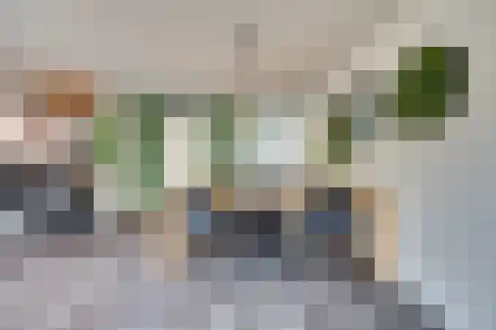 Mantelmeeuw 9 De Lier thumbnail 13
