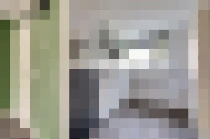 Mantelmeeuw 9 De Lier thumbnail 14