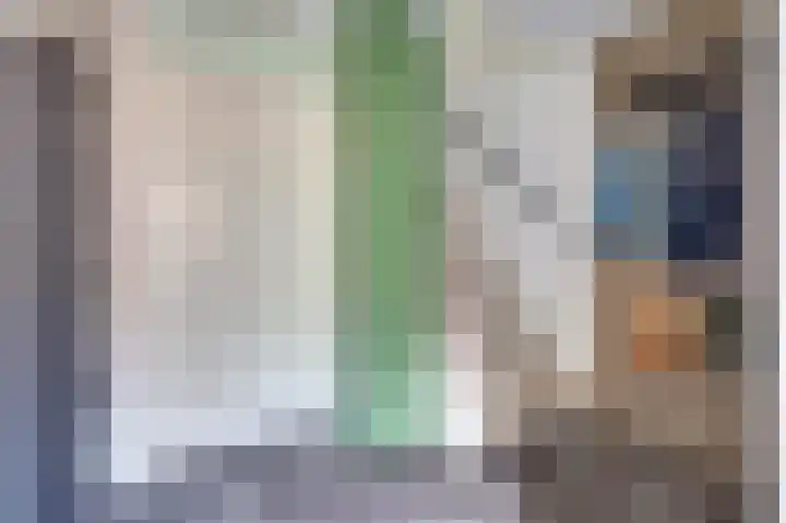 Mantelmeeuw 9 De Lier thumbnail 17