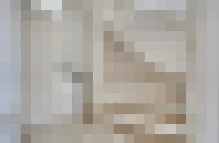 Mantelmeeuw 9 De Lier thumbnail 19