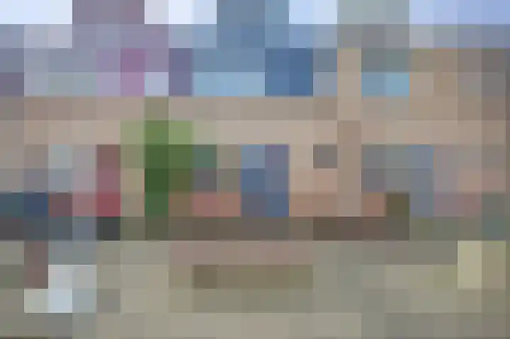 Mantelmeeuw 9 De Lier foto 2