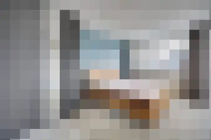 Mantelmeeuw 9 De Lier thumbnail 20