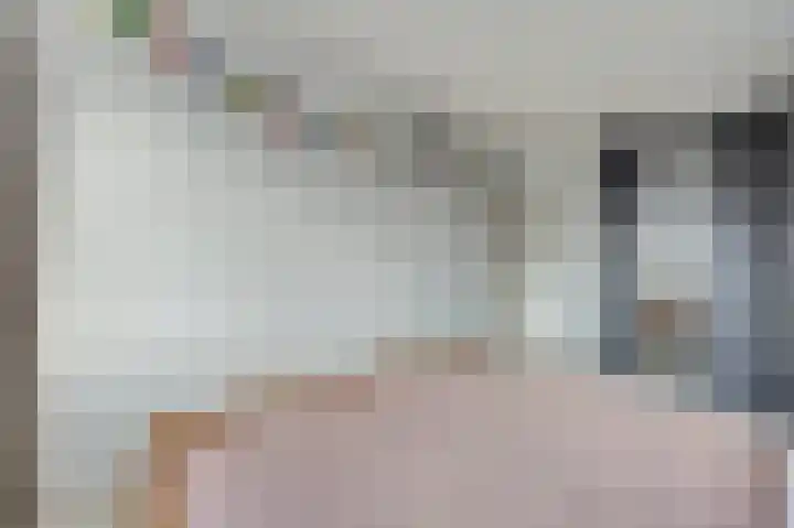 Mantelmeeuw 9 De Lier thumbnail 21