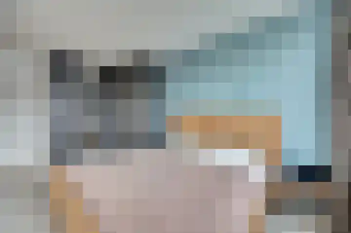 Mantelmeeuw 9 De Lier thumbnail 22