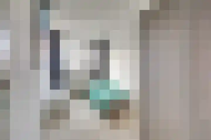 Mantelmeeuw 9 De Lier thumbnail 23