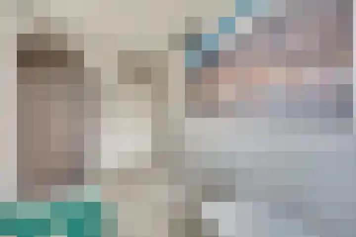 Mantelmeeuw 9 De Lier thumbnail 24