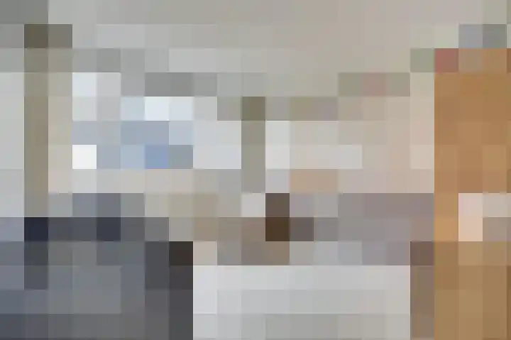 Mantelmeeuw 9 De Lier thumbnail 25