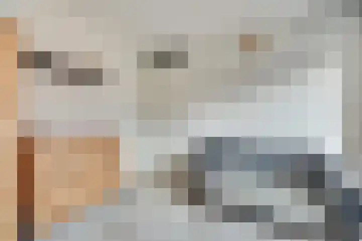 Mantelmeeuw 9 De Lier thumbnail 26
