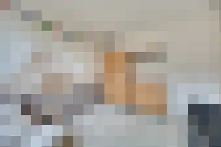 Mantelmeeuw 9 De Lier thumbnail 27