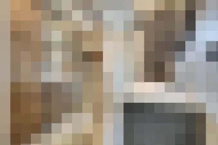 Mantelmeeuw 9 De Lier thumbnail 28