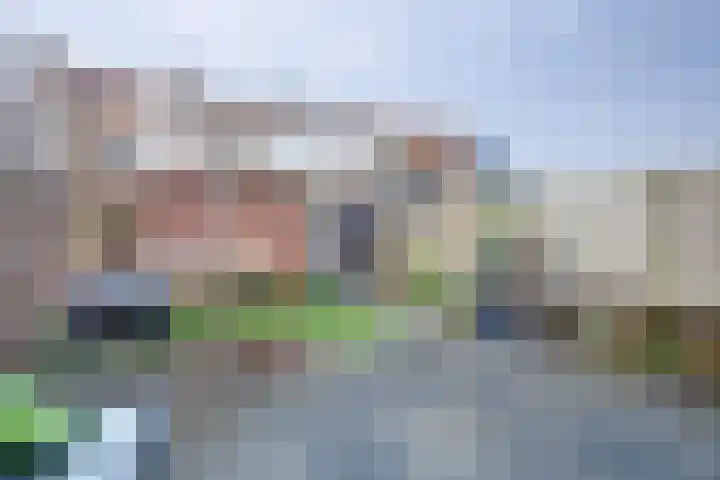 Mantelmeeuw 9 De Lier foto 3
