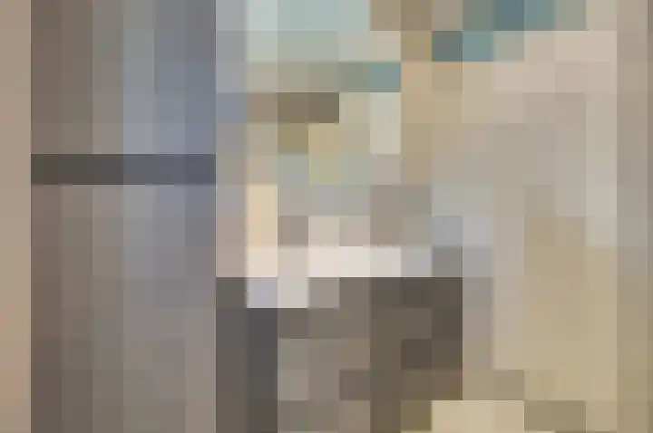 Mantelmeeuw 9 De Lier thumbnail 30