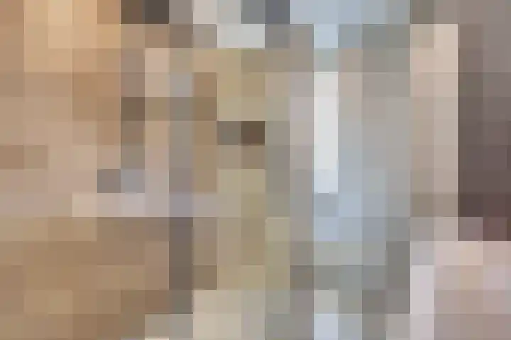Mantelmeeuw 9 De Lier thumbnail 31