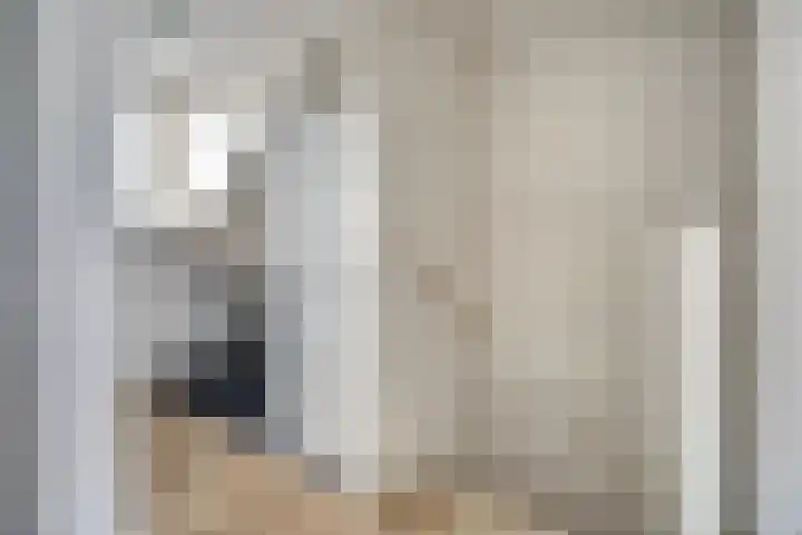 Mantelmeeuw 9 De Lier thumbnail 32