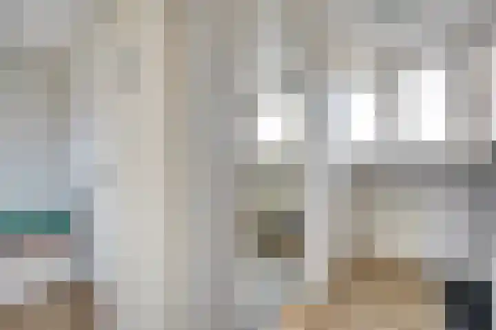 Mantelmeeuw 9 De Lier thumbnail 33
