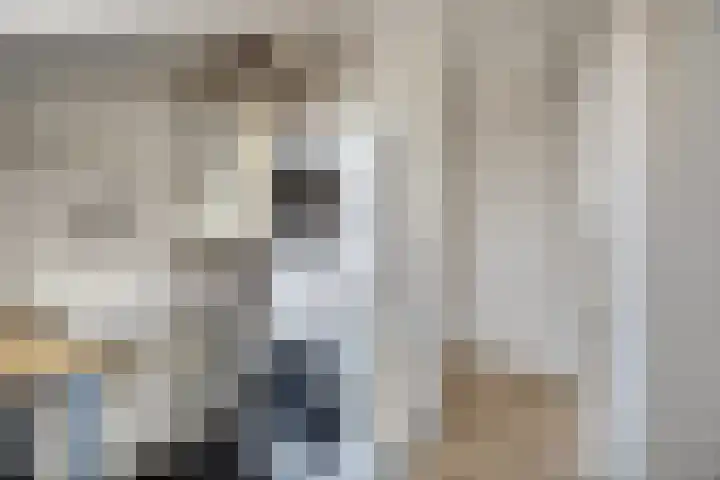 Mantelmeeuw 9 De Lier thumbnail 34