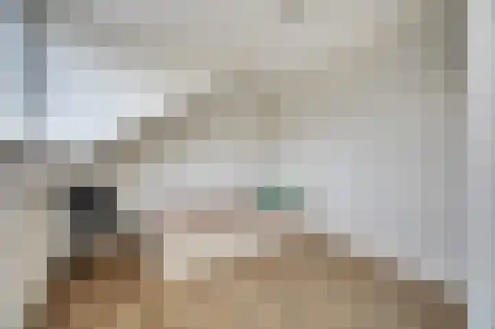 Mantelmeeuw 9 De Lier thumbnail 35
