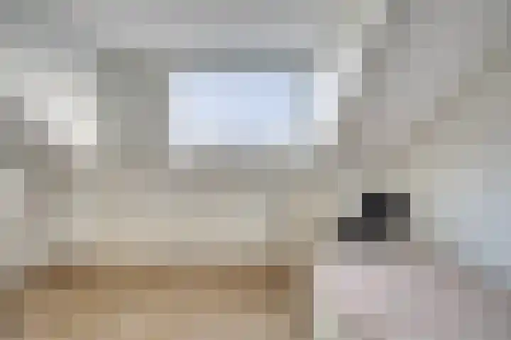 Mantelmeeuw 9 De Lier thumbnail 36
