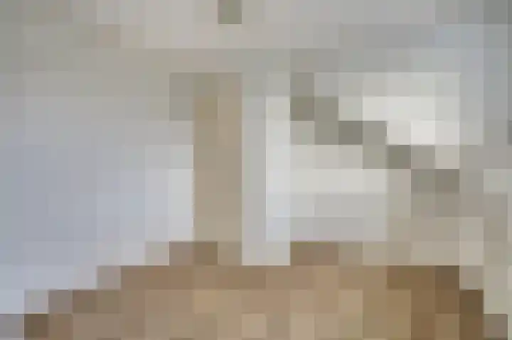 Mantelmeeuw 9 De Lier thumbnail 37