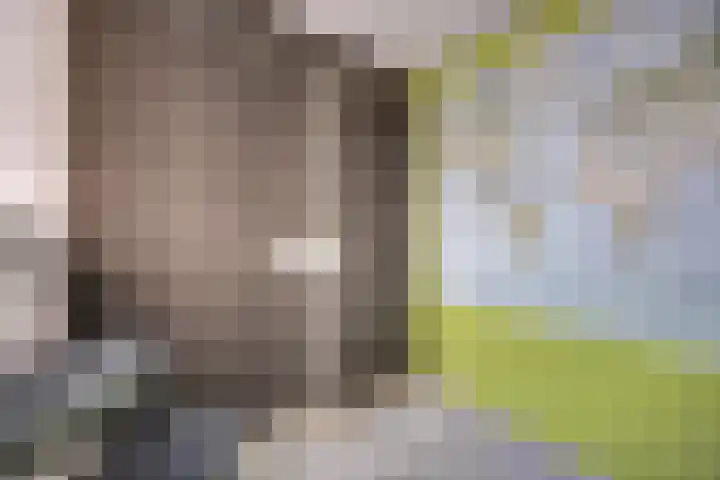 Mantelmeeuw 9 De Lier thumbnail 39
