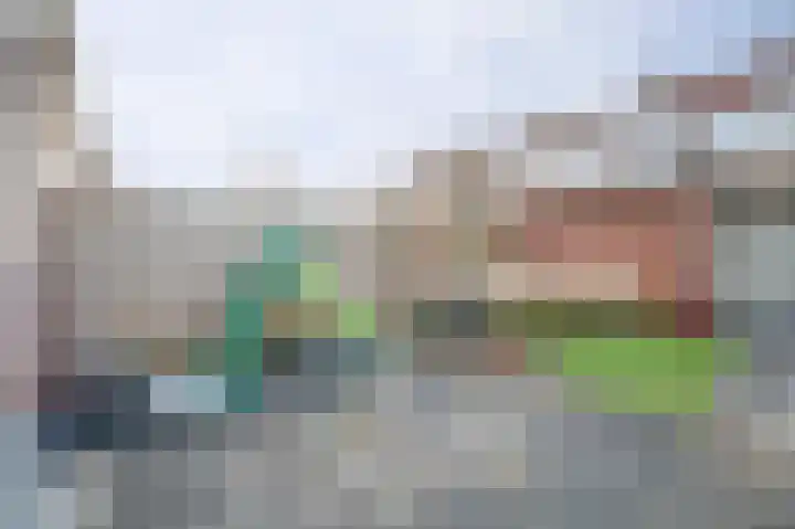 Mantelmeeuw 9 De Lier thumbnail 40