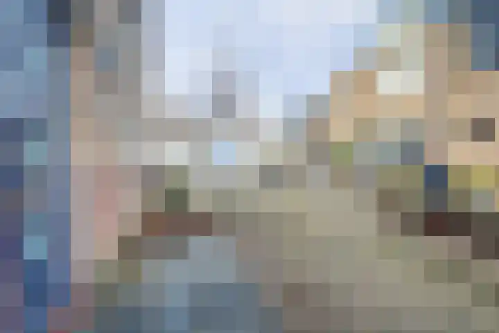 Mantelmeeuw 9 De Lier thumbnail 43