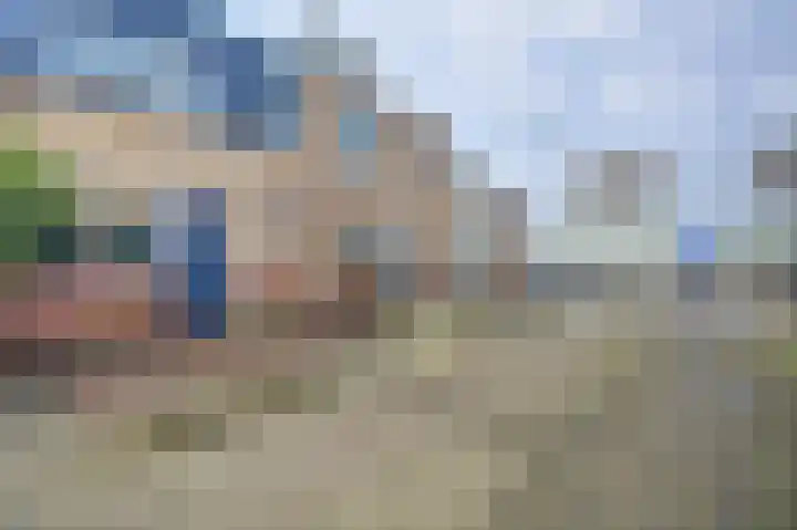 Mantelmeeuw 9 De Lier thumbnail 44