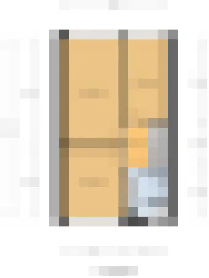Mantelmeeuw 9 De Lier thumbnail 46
