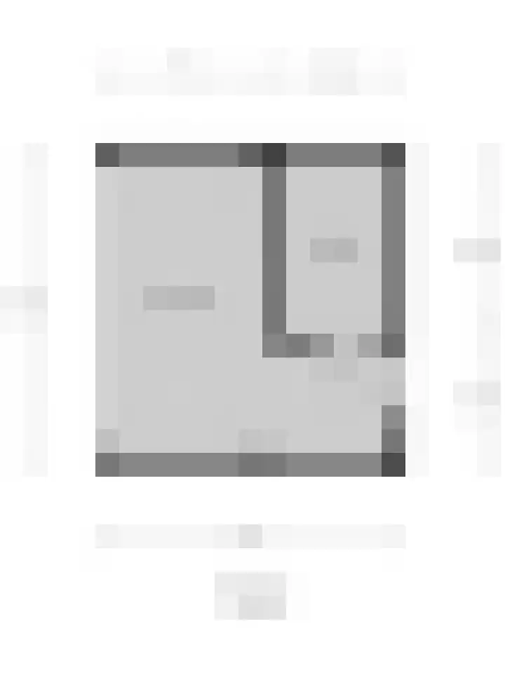 Mantelmeeuw 9 De Lier thumbnail 48