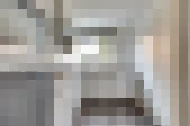 Mantelmeeuw 9 De Lier thumbnail 5