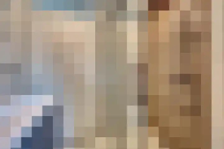Mantelmeeuw 9 De Lier thumbnail 6