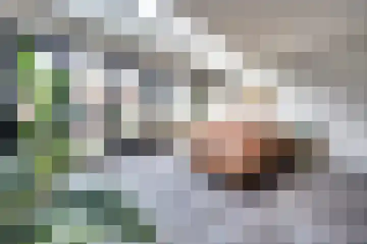 Mantelmeeuw 9 De Lier thumbnail 7