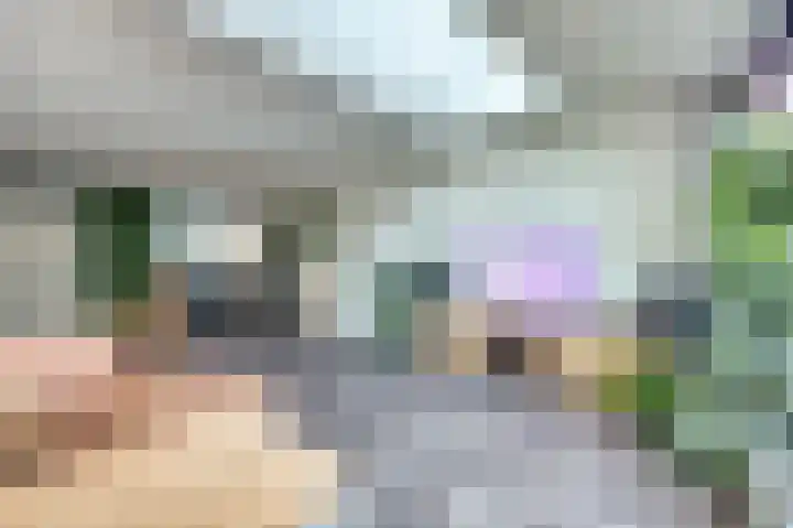 Mantelmeeuw 9 De Lier thumbnail 9