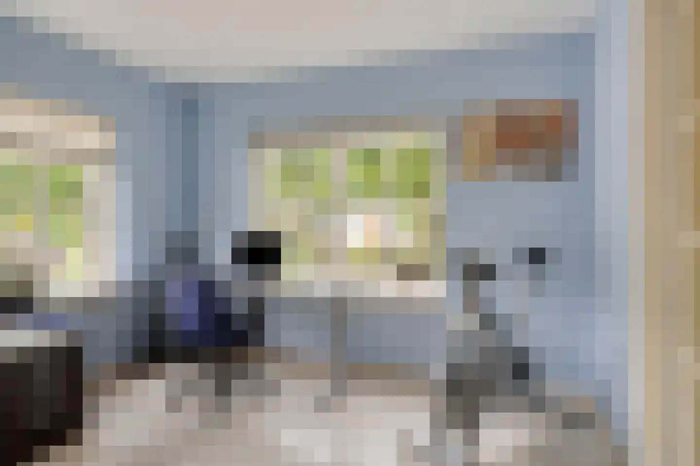 Mantelmeeuwstraat 13 Zierikzee thumbnail 18