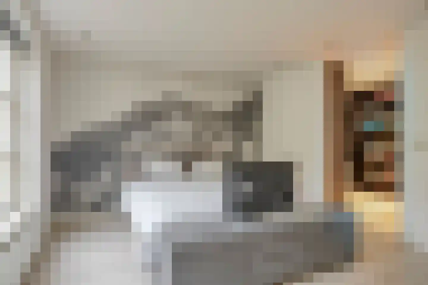 Mantelmeeuwstraat 13 Zierikzee thumbnail 19