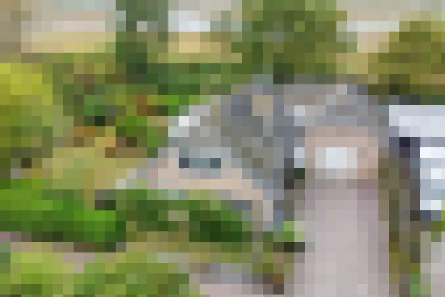 Mantelmeeuwstraat 13 Zierikzee thumbnail 36
