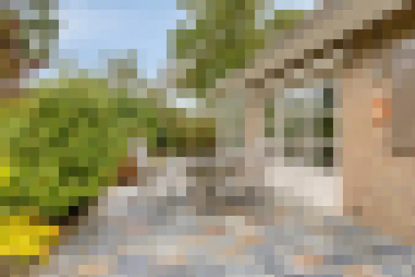 Mantelmeeuwstraat 13 Zierikzee thumbnail 40