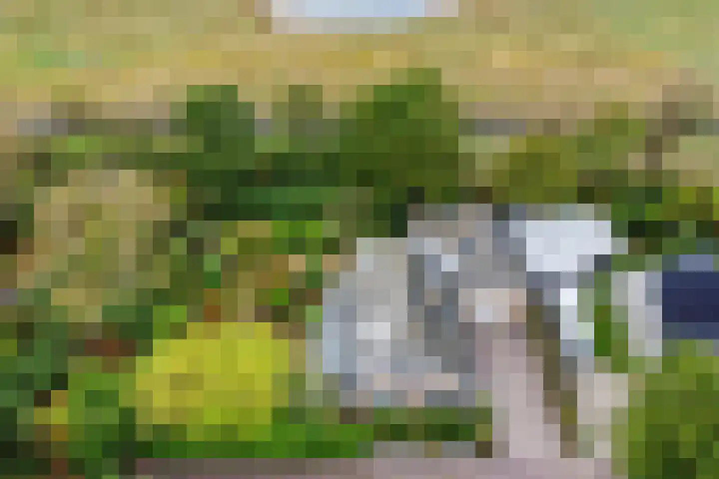 Mantelmeeuwstraat 13 Zierikzee thumbnail 5