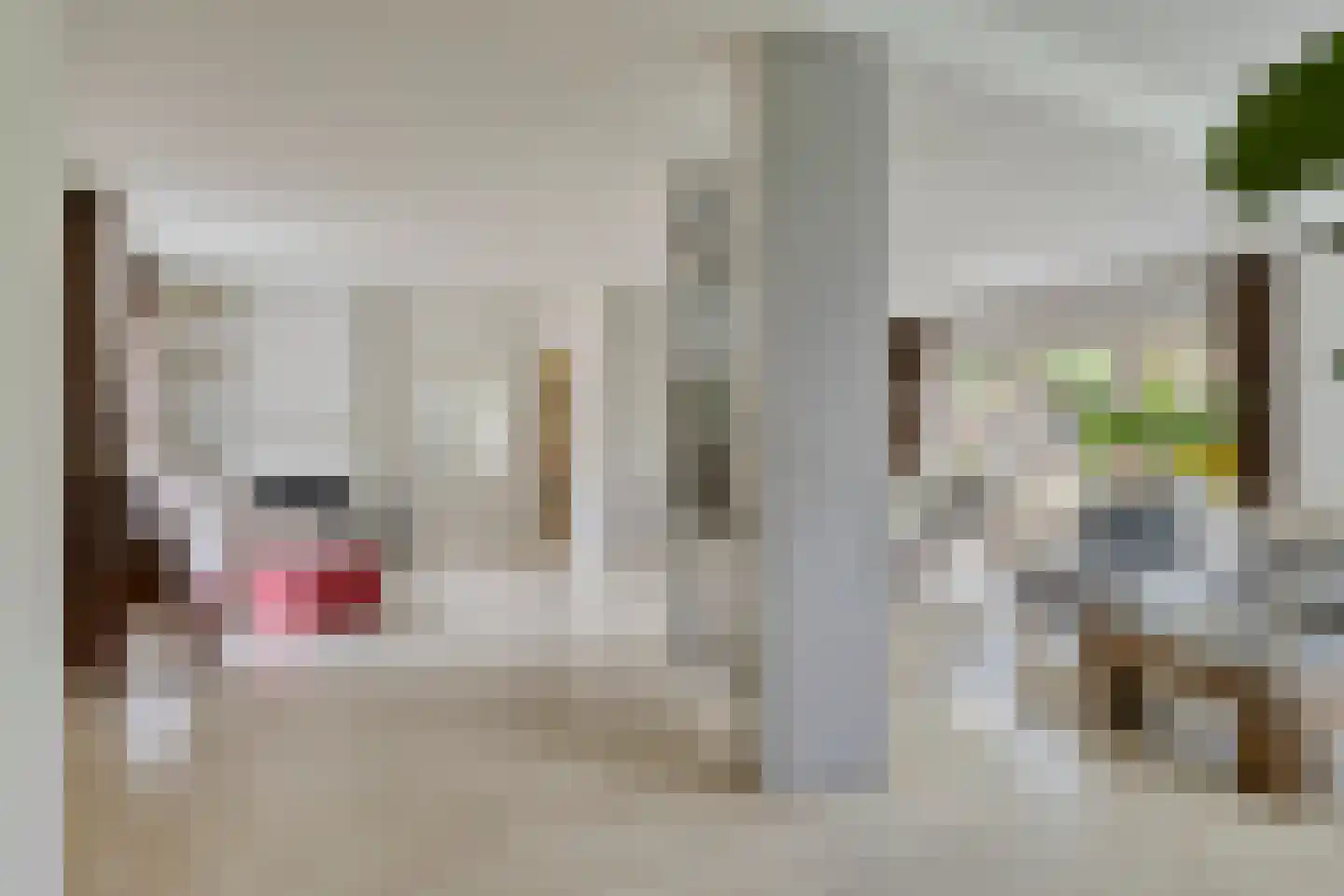 Mantelmeeuwstraat 13 Zierikzee thumbnail 9