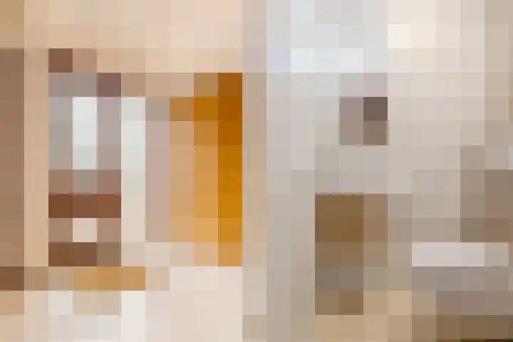 Mantelmeeuwstraat 5 Alkmaar thumbnail 10